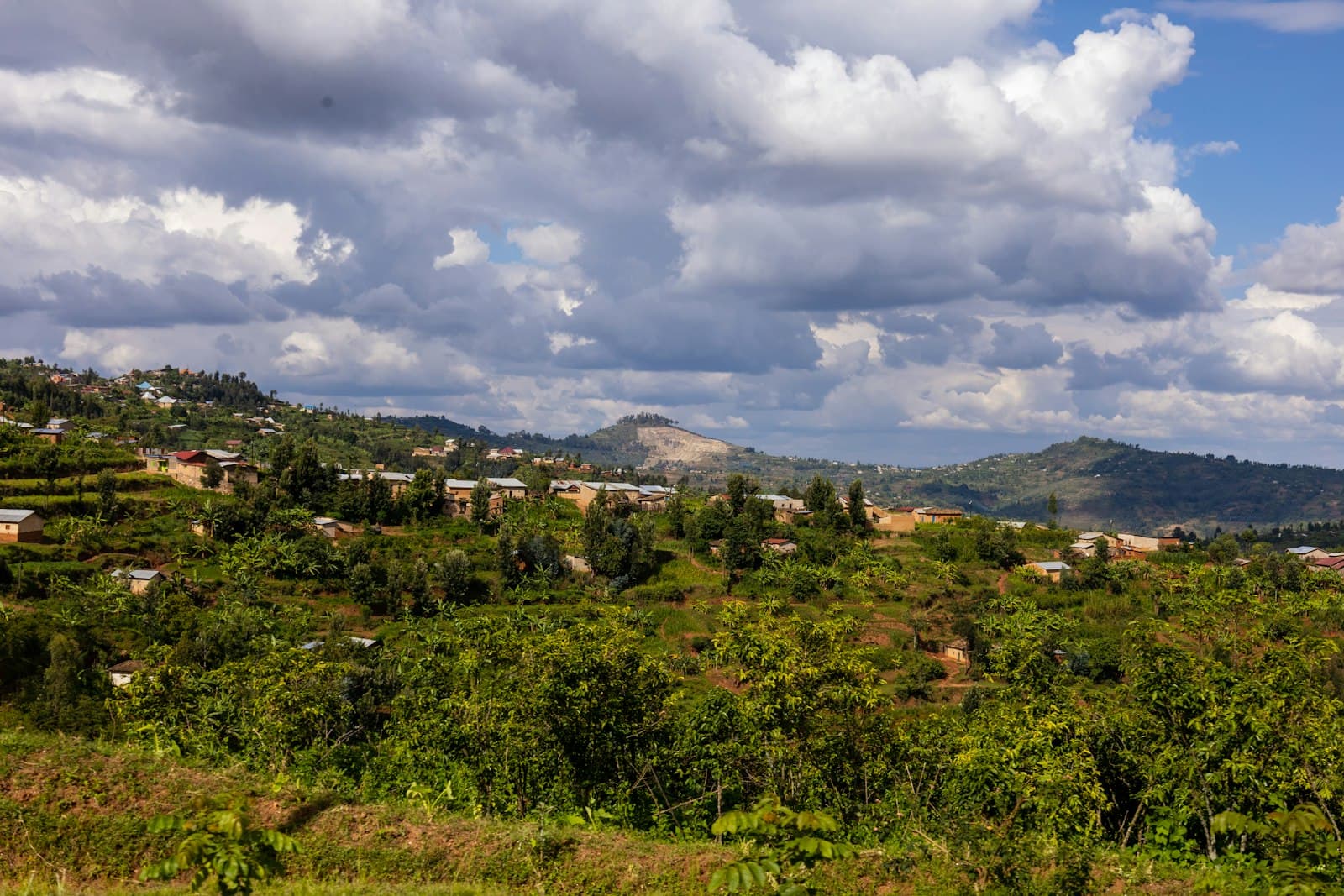 Rwanda's hills — the landscape every BeezBaze hive lives in